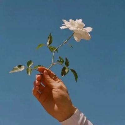 数码兽之王果盘版下载